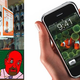 Illustration for article titled Rumor Smashed: iPhone Will NOT Come With 1.5 Years of Free Service